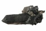 Dark Smoky Quartz Crystal Cluster - Brazil #234073-1